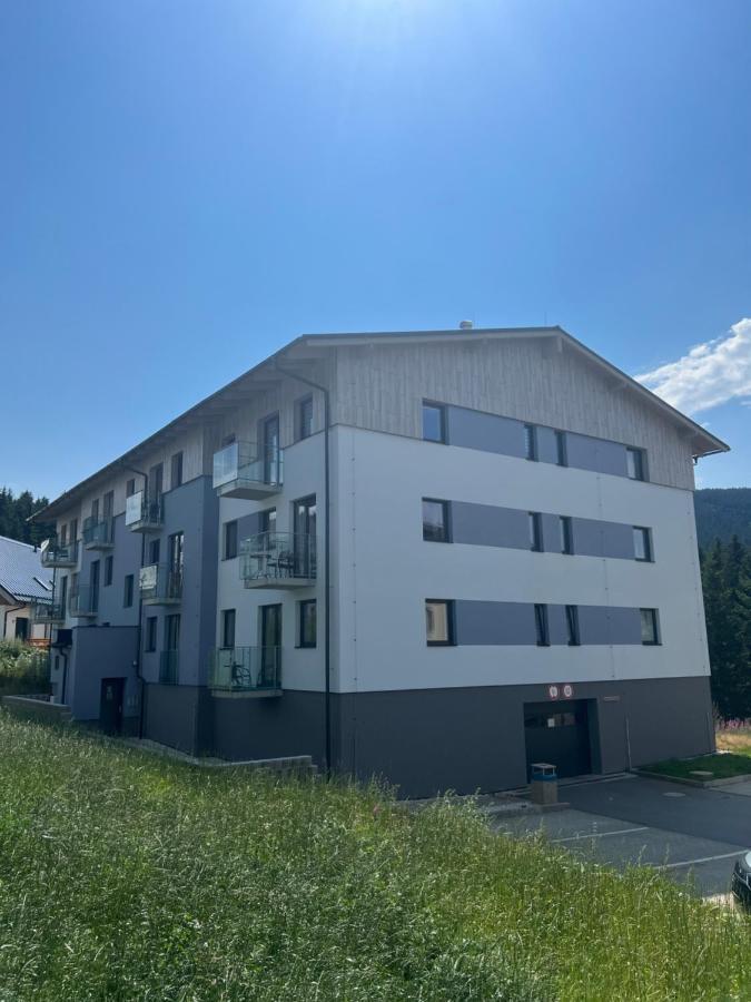 Loučná pod Klínovcem Klinovec-Apartments מראה חיצוני תמונה